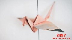 量子计算领域的较量，谁是王者已经揭晓