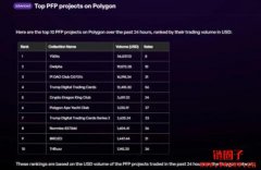 专门解答Polygon问题的ChatGPT！Polygon Copilot介绍及使用教