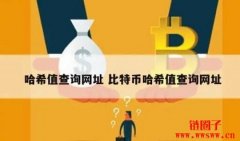 哈希值查询：一种快速验证数据完整