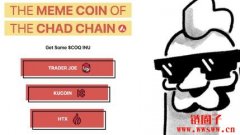 以小博大！一地址投资迷因币COQ获利