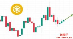 币安币价格预测：BNB币能达到1000美元吗？