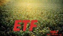 盘点2024年各ETF报酬率|2025将有更多加