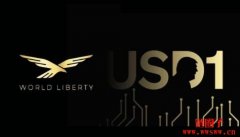 <b>USD1币是什么？如何运作？USD1币未来前景展望</b>