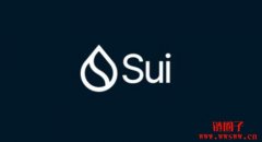 SUI的4.5亿美元加密国库行动：市场救