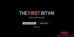什么是Bitlayer（BTR币）？BTR代币分配和功能用途详情