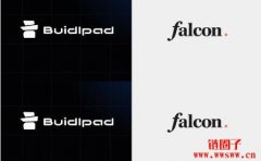 稳定币项目Falcon Finance开启公售，一文教你用更